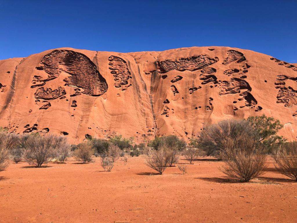 “Tracks Wind Back” by Jeanine Leane and how this poem represents the relationship between Australia and Australianness.